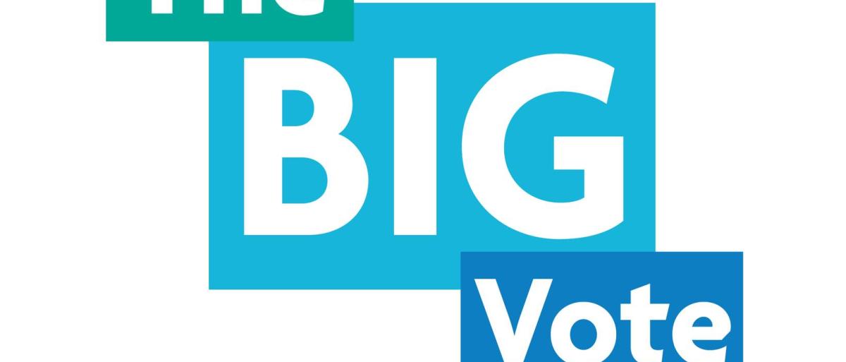 The Big Vote leaflet