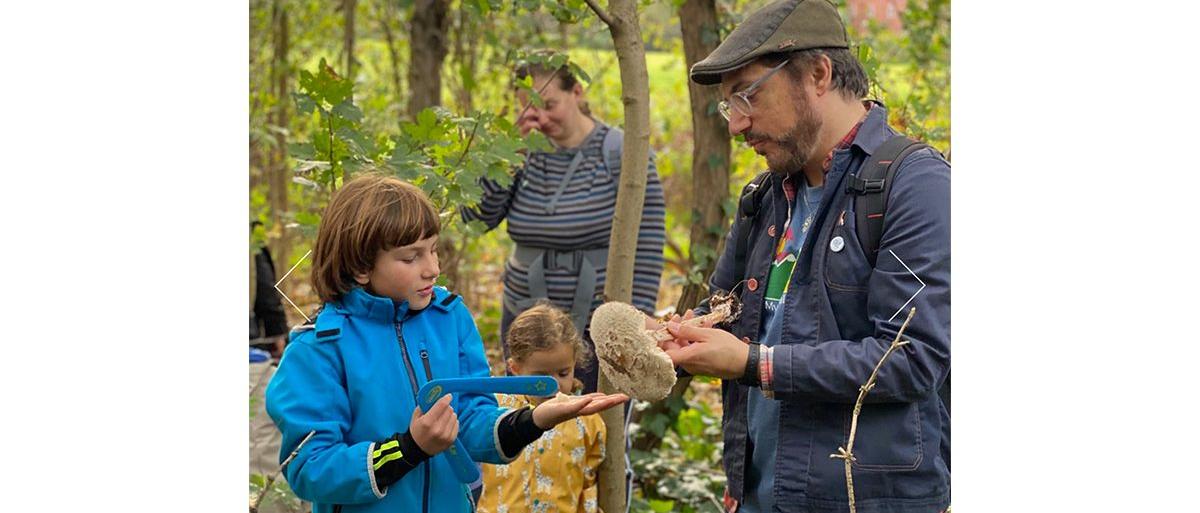 Man showing a group different types of fungus in the forest