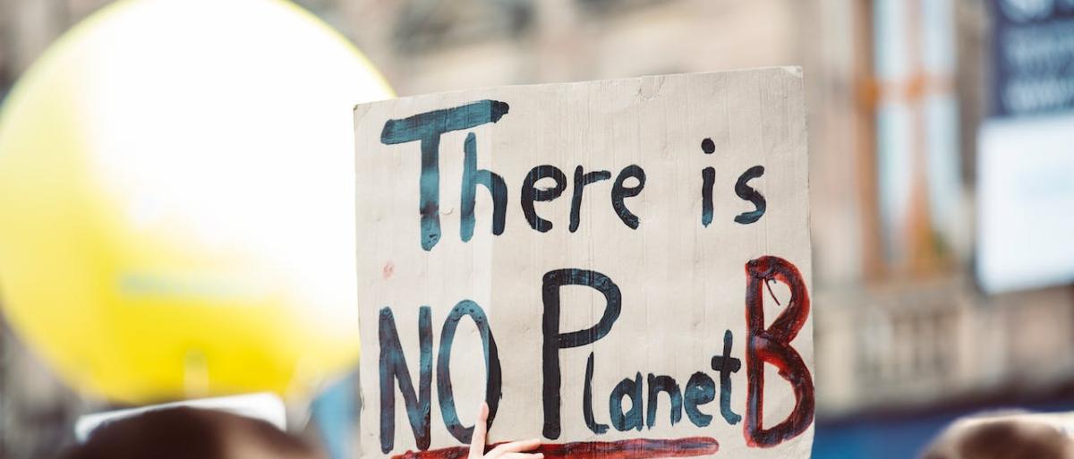 Sign at a protest saying 'there is no planet b'