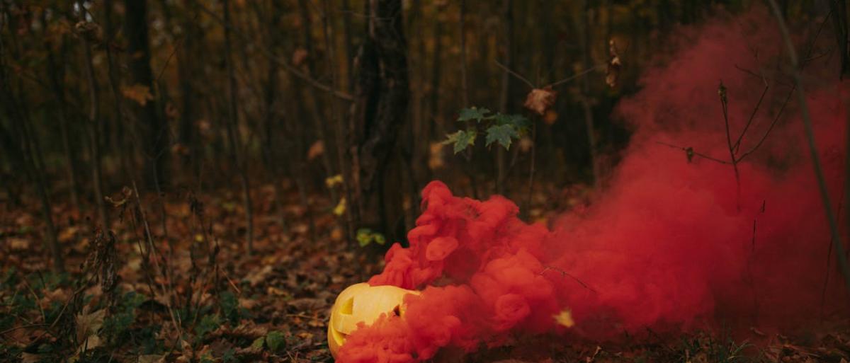 A picture of a pumpkin in a bush